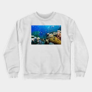 Great Barrier Reef Coral Wonderland Crewneck Sweatshirt